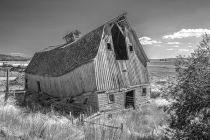 Swayback Barn B&W W