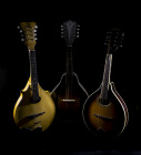 Three-Mandolins-W